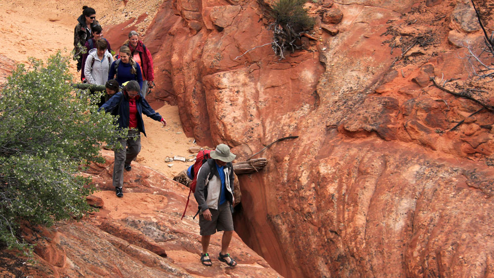 Hiking In Zion National Park Best Hikes In Zion East Zion